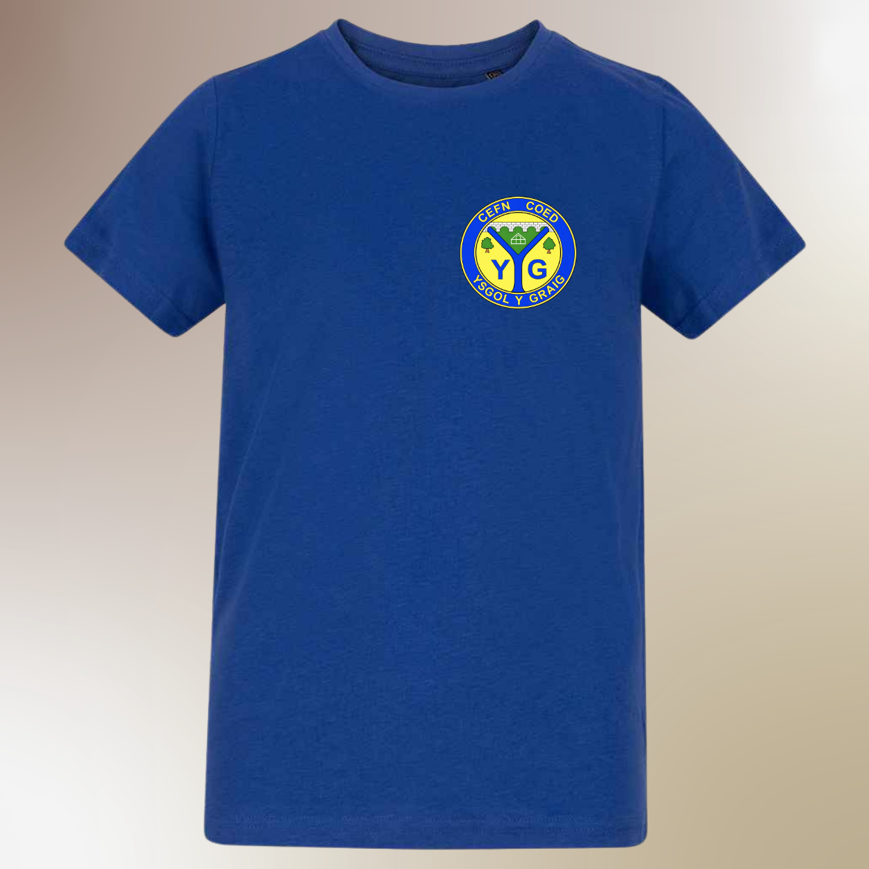 School Logo Printed PE T-shirt Blue
